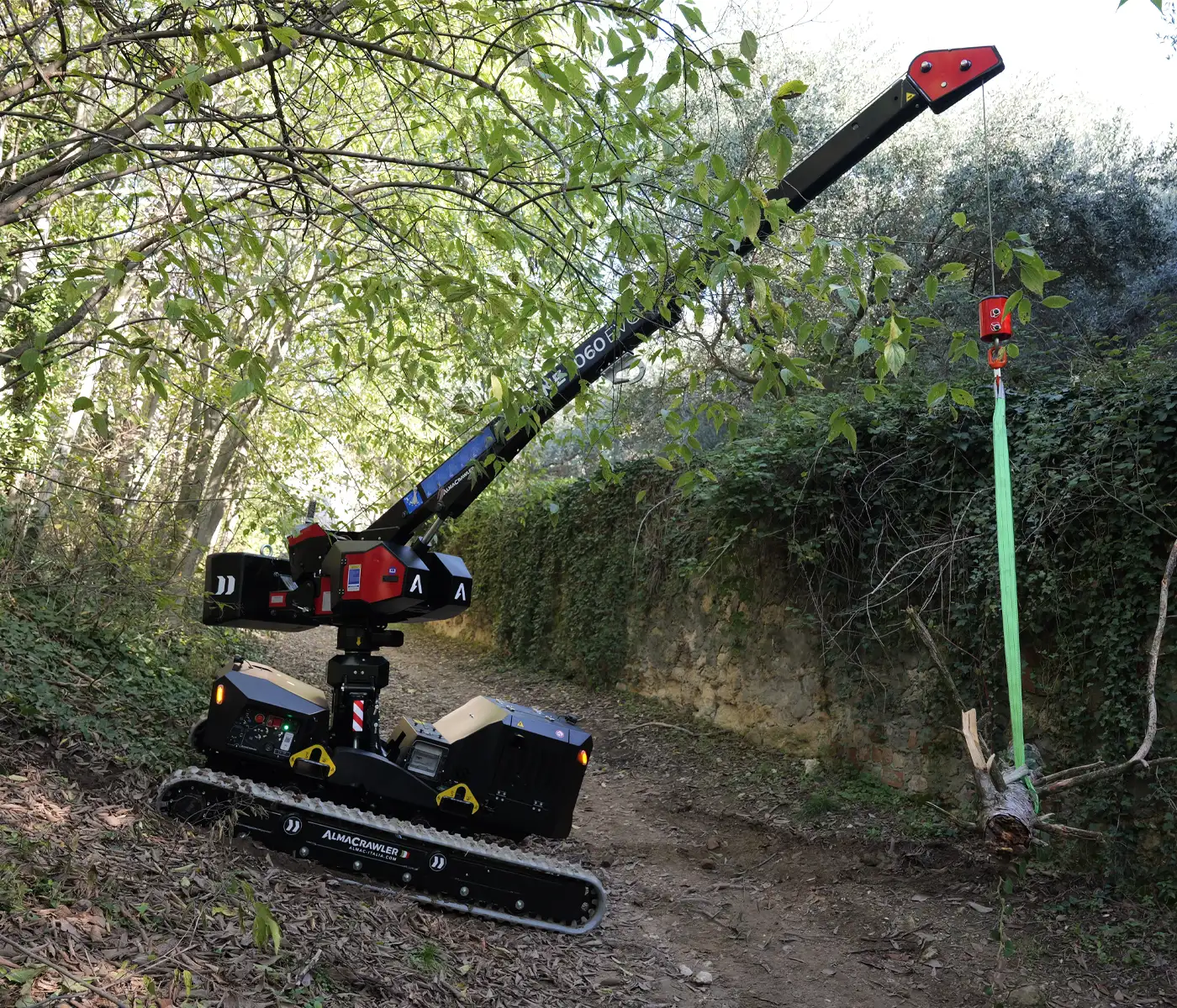 Almac T-Crane 1060 - Afbeelding 3